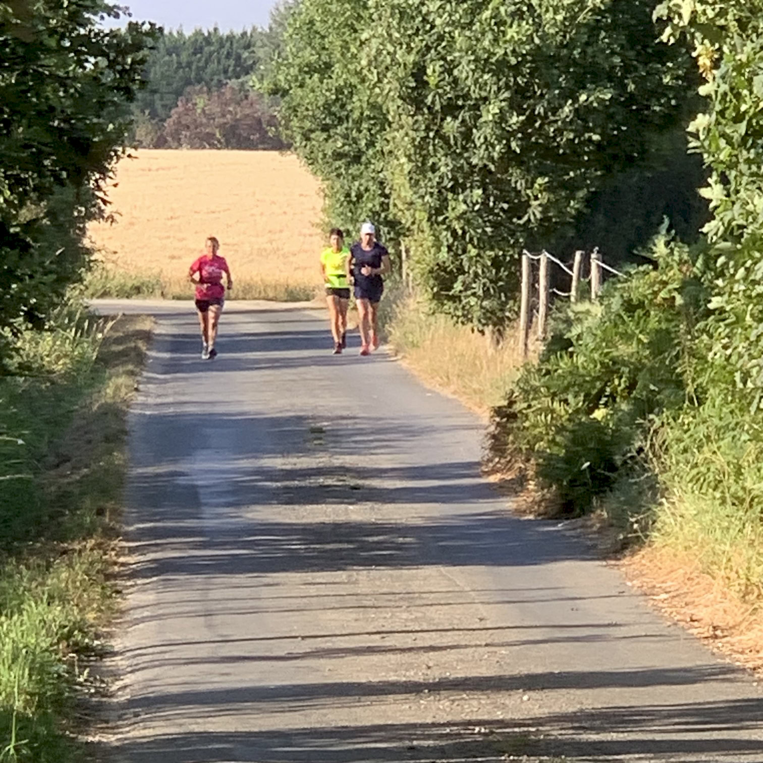 Sortie du dimanche 12 juillet 2026