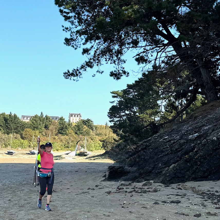 Pointe du Nid, Pointe des Daules