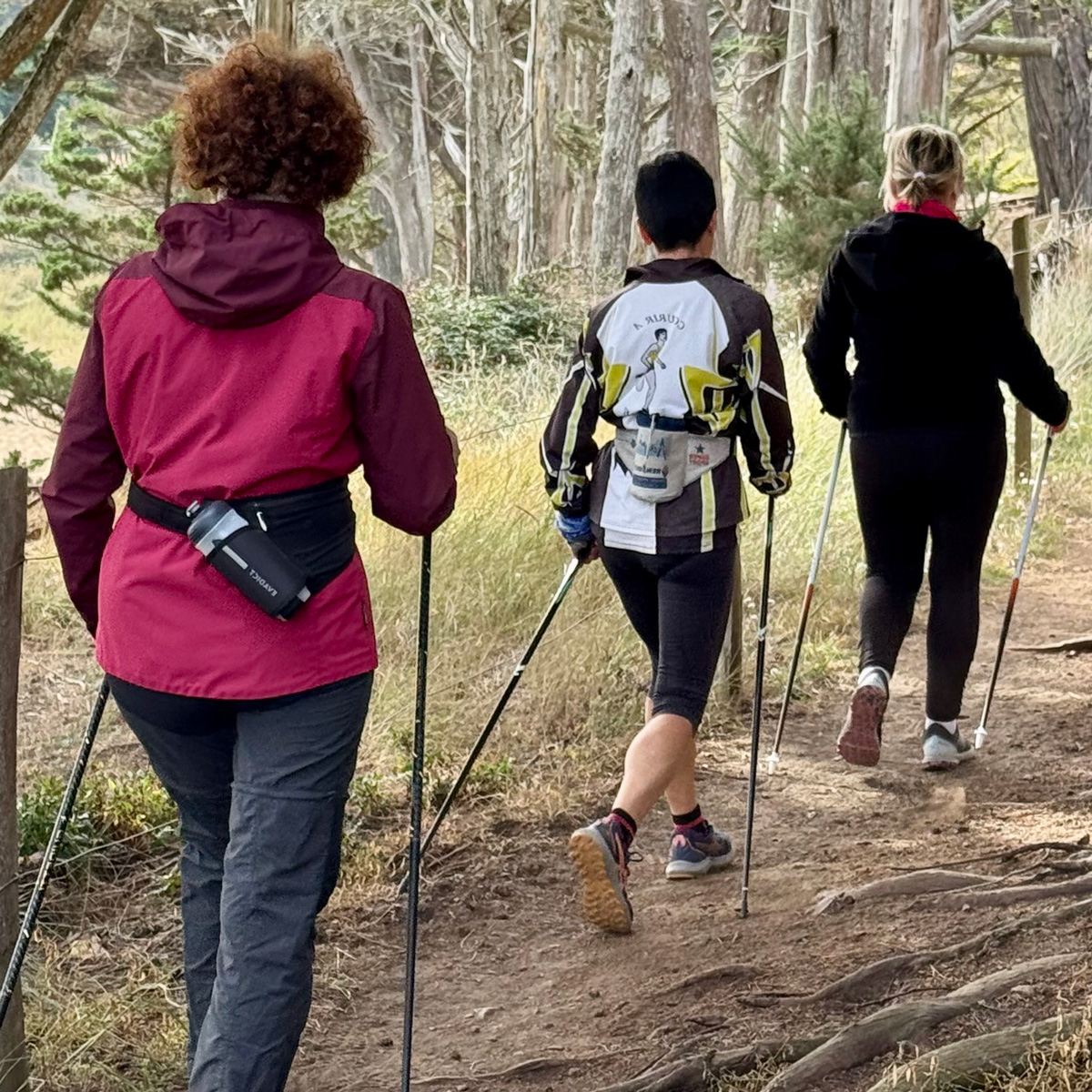 Pointe du Nid, Pointe des Daules