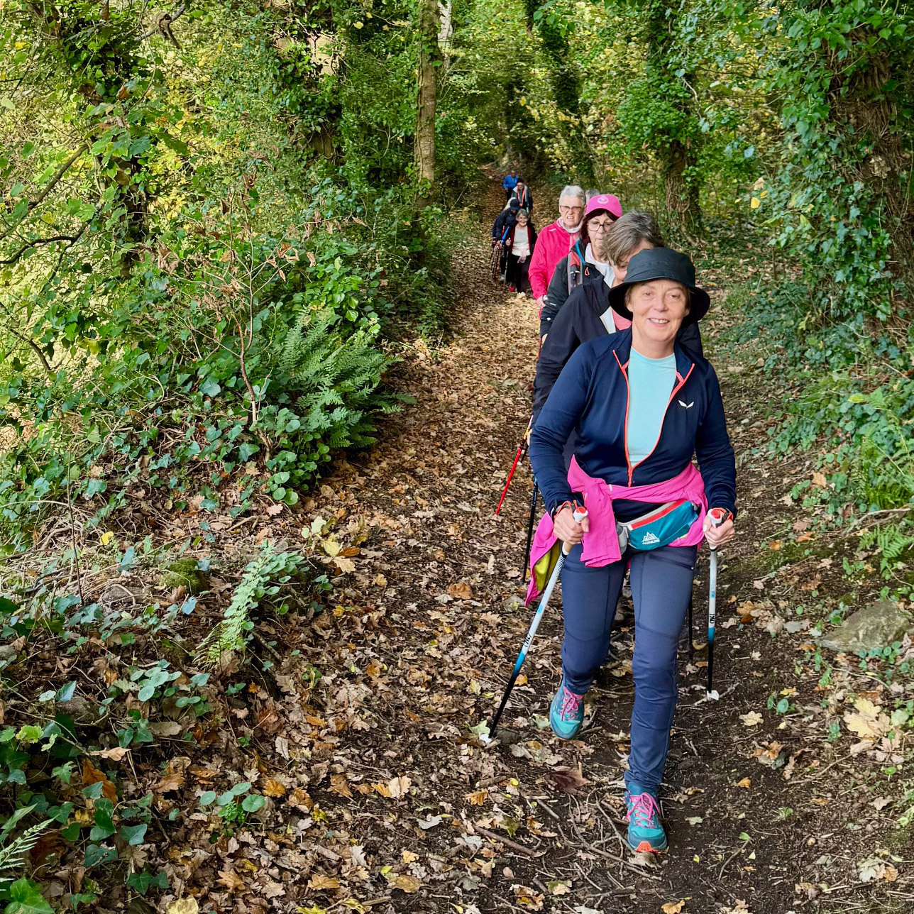Pointe du Nid, Pointe des Daules